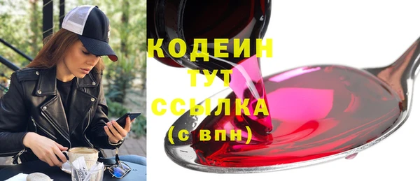 индика Бугульма