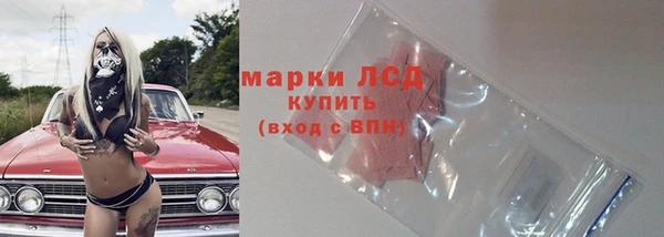 сатива Верея