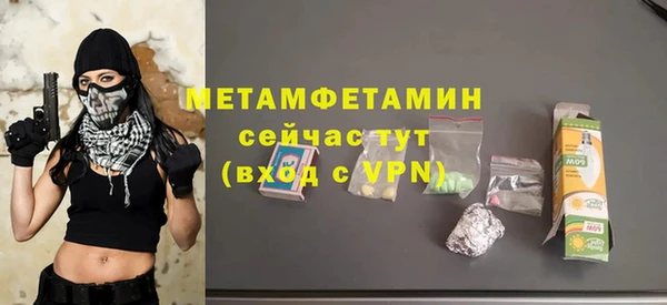сатива Верея
