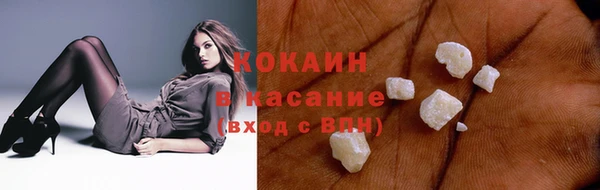 сатива Верея