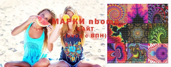 сатива Верея