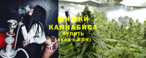 стаф Верхний Тагил