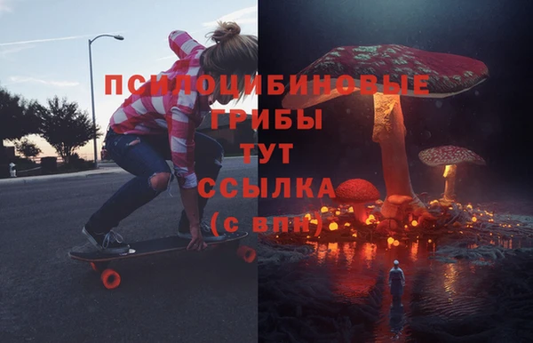 сатива Верея
