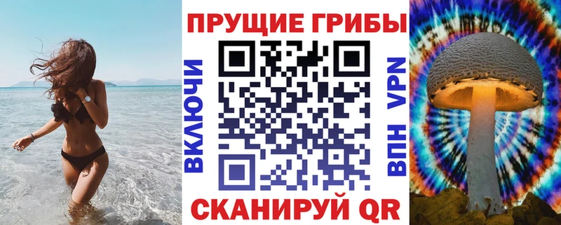 Галлюциногенные грибы Cubensis  как найти   Рузаевка 