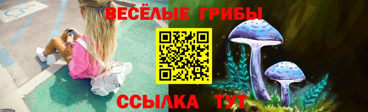 Псилоцибиновые грибы прущие грибы Рузаевка